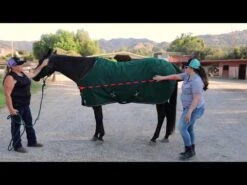 Kensington Signature Rain Sheet -Horse Supply Store 0 12