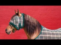 Kensington Pony Fly Mask W/Fleece -Horse Supply Store 0 14