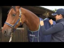 Bucas Celtic Combi Neck