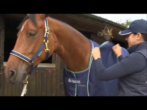 Bucas Celtic Combi Neck 3 Bucas Celtic Combi Neck