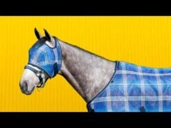 Kensington Fly Mask With Web Trim 37 Kensington Fly Mask With Web Trim -Horse Supply Store 0 18