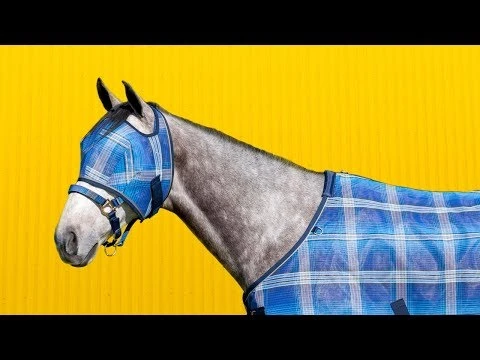 Kensington Fly Mask With Web Trim 20 Kensington Fly Mask With Web Trim - Image 18