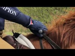 Roeckl Roeck-Grip Unisex Gloves -Horse Supply Store 0 52