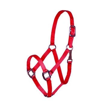 Deluxe 3-Ply Nylon Halter W/Snap 5 Deluxe 3-Ply Nylon Halter W/Snap - Image 3