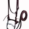 Weaver Latigo Leather Headstall Set W/Bit -Horse Supply Store TE000378