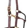 Weaver Adj Leather Halter W/ Snap -Horse Supply Store TE001024