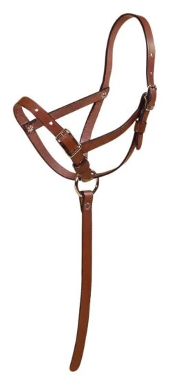 Tory Foal Slip Halter With Grab Strap