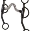 Weaver Stacy Westfall Double Rein Curb Bit -Horse Supply Store TE001839 P