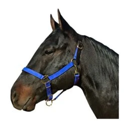 Leather Crown Nylon Breakaway Halter -Horse Supply Store TE002567 188627