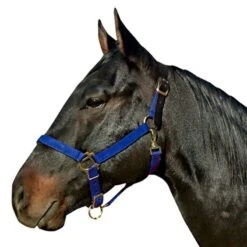 Leather Crown Nylon Breakaway Halter -Horse Supply Store TE002567 737970