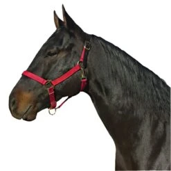 Leather Crown Nylon Breakaway Halter