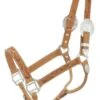 Silver Royal Leaf Stamped Show Halter 2 Silver Royal Leaf Stamped Show Halter -Horse Supply Store TE002849 P