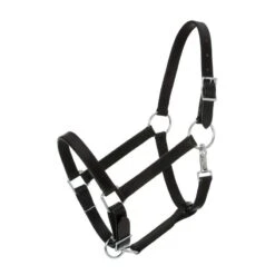 Tough1 Leather Draft Stable Halter