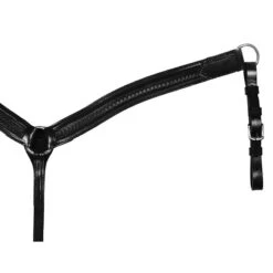 Circle Y Shell Tool Shaped Breast Collar 7 Circle Y Shell Tool Shaped Breast Collar -Horse Supply Store TE004663 255836 P