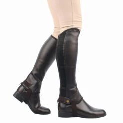 Saxon Equileather Adult Half Chaps