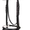 Passport Raised And Padded Bridle W/Flash -Horse Supply Store TE012469 P