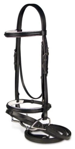 Passport Raised And Padded Bridle W/Flash