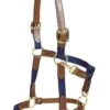 Tory Leather And Cotton Web Halter -Horse Supply Store TE012600 P
