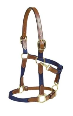 Tory Leather And Cotton Web Halter