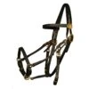 Tucker Beta BioThane Bridle W/Brass -Horse Supply Store TE012618 P