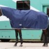 Weatherbeeta Rain Sheet 2 Weatherbeeta Rain Sheet -Horse Supply Store TE013538 P