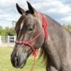 Professionals Choice Beaded Rope Halter 2 Professionals Choice Beaded Rope Halter -Horse Supply Store TE016527 05