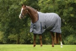 Saxon 600D Standard Neck Lte Sheet -Horse Supply Store TE016778 866384 01