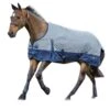 Saxon 600D Standard Neck Lte Sheet -Horse Supply Store TE016778 P