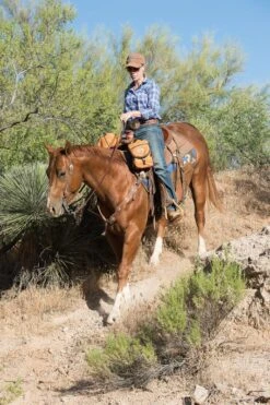 Weaver Western Edge Sliding Ear Headstall -Horse Supply Store TE017916 02