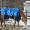 Tough1 Super Tough 1680D Sheet Snuggit Neck -Horse Supply Store TE018015 P