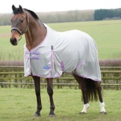 Weatherbeeta WB Essential Mesh St Neck Fly Sheet 24 Weatherbeeta WB Essential Mesh St Neck Fly Sheet -Horse Supply Store TE018525 809992