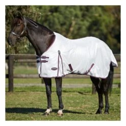 Weatherbeeta WB Essential Mesh St Neck Fly Sheet 20 Weatherbeeta WB Essential Mesh St Neck Fly Sheet -Horse Supply Store TE018525 892664