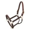 Royal King Raised Leather Halter 1 Royal King Raised Leather Halter -Horse Supply Store TE018682