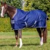 Bucas Freedom Turnout Light -Horse Supply Store TE018958