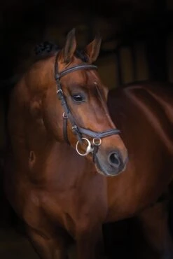 Micklem Deluxe Competition Bridle -Horse Supply Store TE020646 01