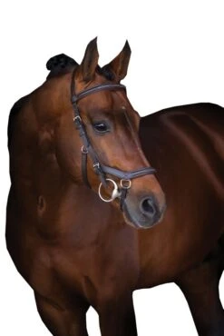 Micklem Deluxe Competition Bridle -Horse Supply Store TE020646 01 01