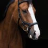 Micklem Deluxe Competition Bridle -Horse Supply Store TE020646 P