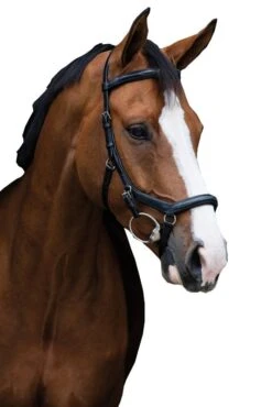 Micklem Deluxe Competition Bridle -Horse Supply Store TE020646 P 01
