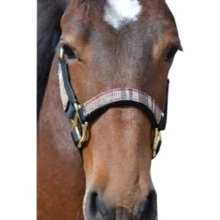 Kensington Halter NB -Horse Supply Store TE021032 522852 01