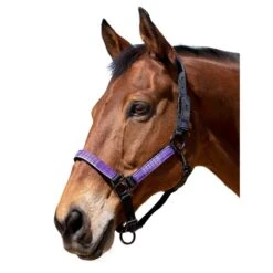 Kensington Halter NB -Horse Supply Store TE021032 522864 01