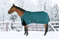Bonum 1200D Ripstop CoolMax Turnout Sheet 12 Bonum 1200D Ripstop CoolMax Turnout Sheet -Horse Supply Store TE021895 529976