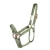 Classic Nylon Halter W/ Rolled Throat -Horse Supply Store TE022011 P