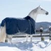 Lami-Cell Pro-Fit Turnout Blanket 150g -Horse Supply Store TE022465 P