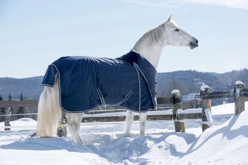 Lami-Cell Pro-Fit Turnout Blanket 150g 3 Lami-Cell Pro-Fit Turnout Blanket 150g