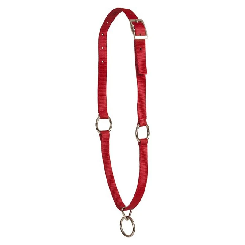 Mustang Neck Collar 5 Mustang Neck Collar - Image 3