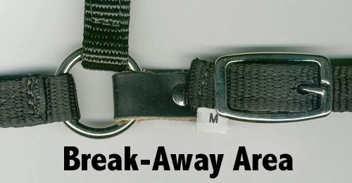 Ozark Mini Breakaway Halter 4 Ozark Mini Breakaway Halter - Image 2