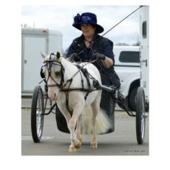 Ozark Mini Fancy Rolled Leather Harness 15 Ozark Mini Fancy Rolled Leather Harness -Horse Supply Store TE023705 04