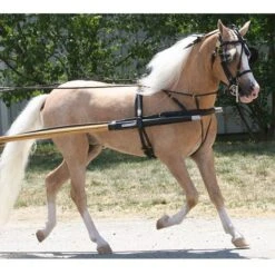 Ozark Mini Fancy Rolled Leather Harness 16 Ozark Mini Fancy Rolled Leather Harness -Horse Supply Store TE023705 06