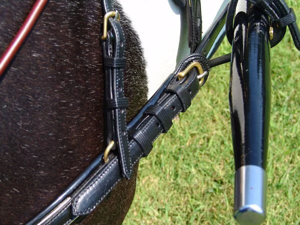 Ozark Mini Fancy Rolled Leather Harness 8 Ozark Mini Fancy Rolled Leather Harness - Image 6