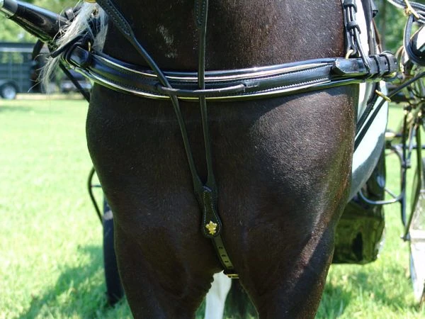 Ozark Mini Fancy Rolled Leather Harness 9 Ozark Mini Fancy Rolled Leather Harness - Image 7